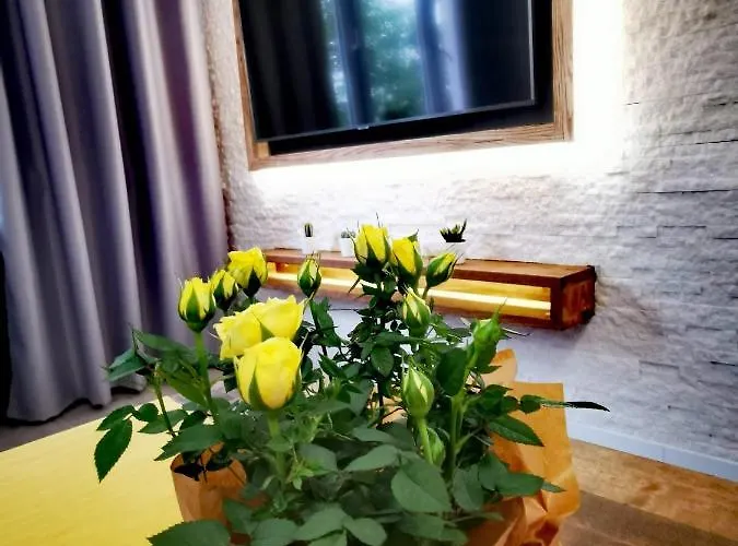 Apartment Przy Arsenale