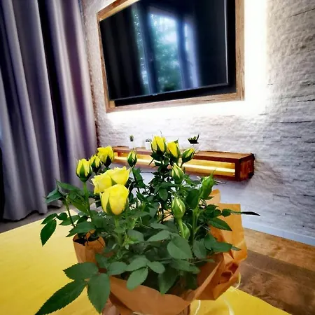 Apartmán Przy Arsenale